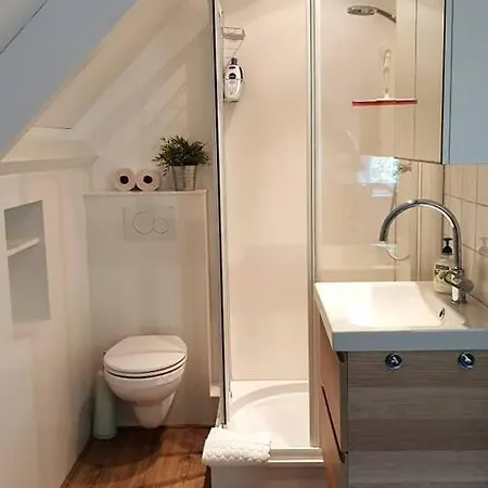 Apartment Uniek Gelegen Gastenverblijf Op Bosrijk Landgoed *