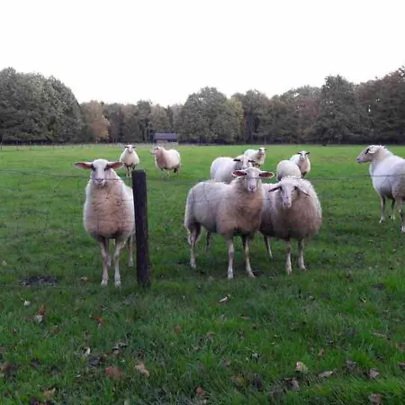 Uniek Gelegen Gastenverblijf Op Bosrijk Landgoed Klarenbeek